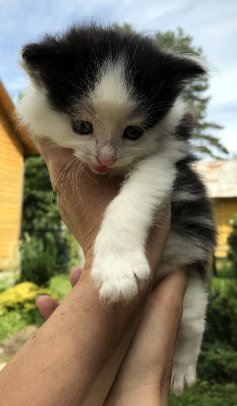 367121A6-1FD9-449C-A6C5-6D5588A88F2F