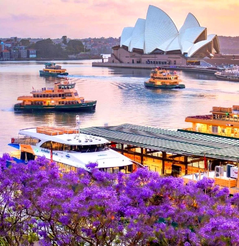 397135704_756831233151168_5136803965269462528_n