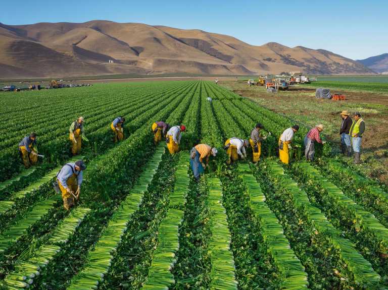 How does geography affect food production in the Mid Atlantic