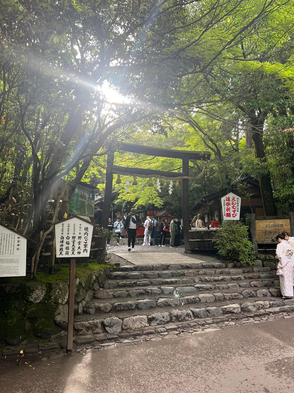 494408590 9957822647572219 9144643932739717006 n