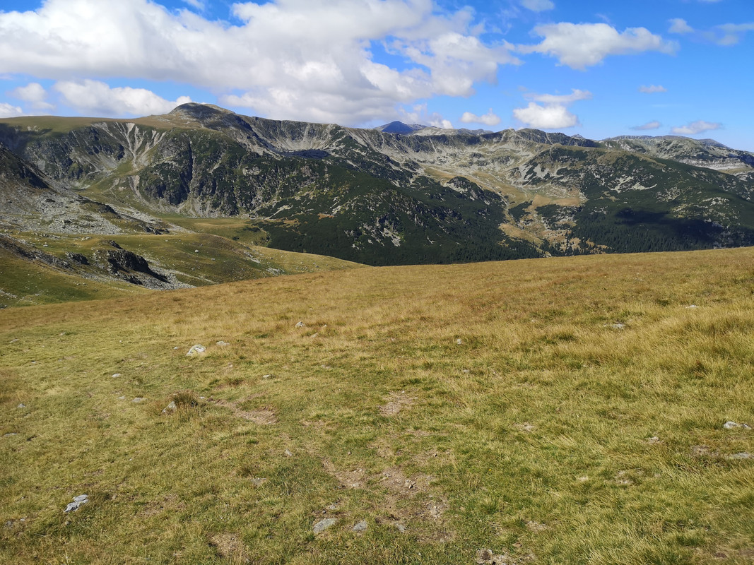 [Obrazek: IMG-20190819-113021.jpg]