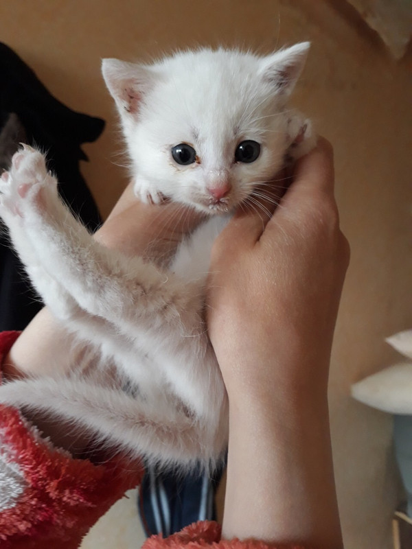 20BF33F6-9170-448A-B15D-8E937F8474CB