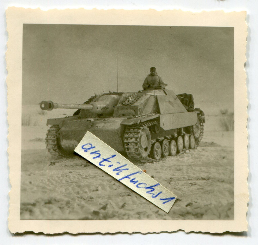 Panzer-Sturmgeschütz München in weiß,Saukopfblen