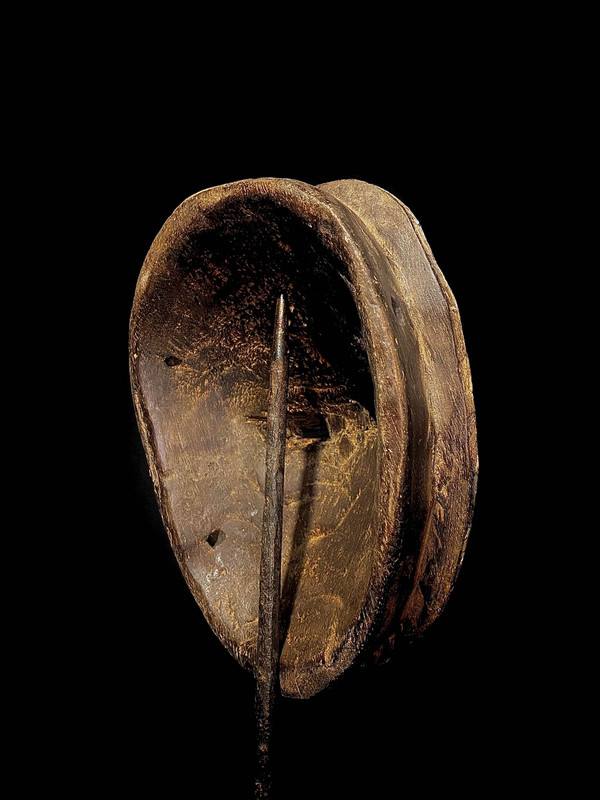 large image 12