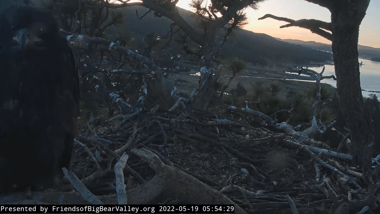 Webp.net-gifmaker (2)