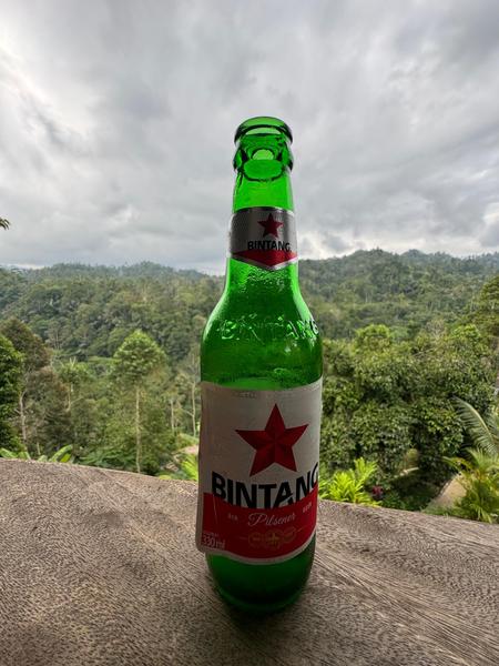 6 Aviones, 3 barcos y 2 trenes, empezando en Estambul y terminando Kuala Lump - Blogs de Indonesia - TERCERA PARADA: BALI (106)