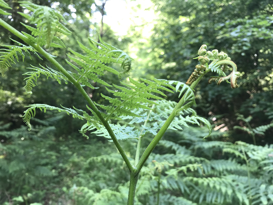 5D11BBC5-D182-4AF4-8ABA-D3678F98D8E0