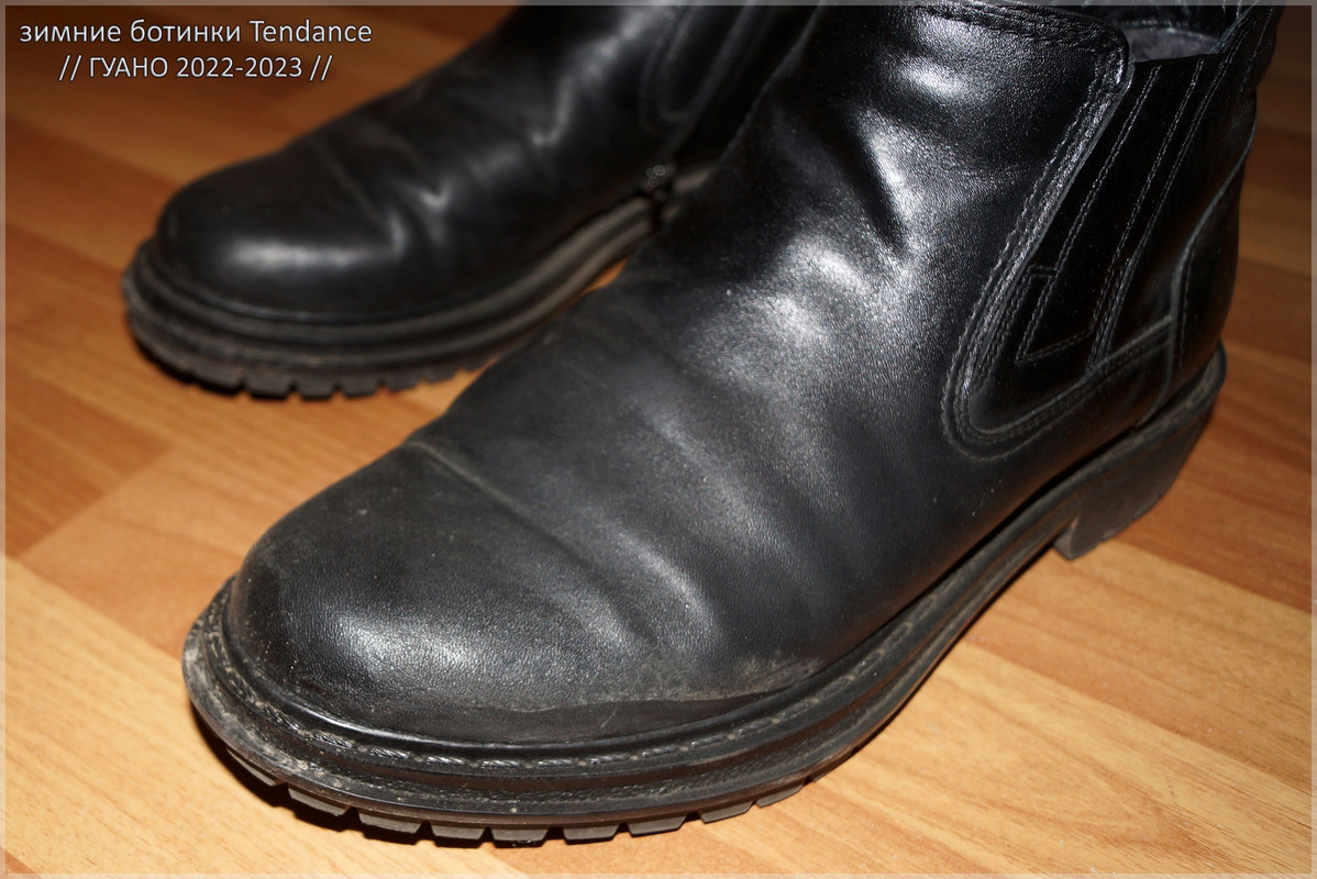 Tendance-govno2022_06