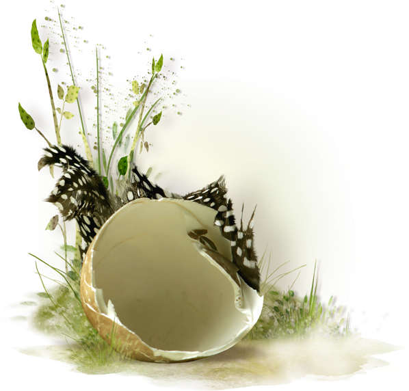 0_1c1a39_e68b83cb_orig