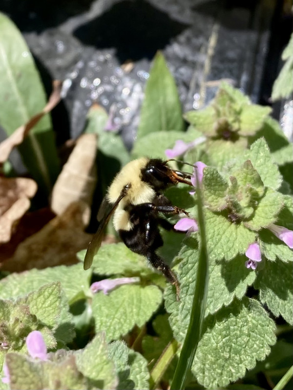 BF76735D-DA1F-4B0E-A2C1-BB27275B8820