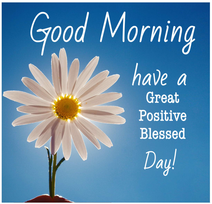 64c2d9f9b0288f8c69d61451c02aba0f