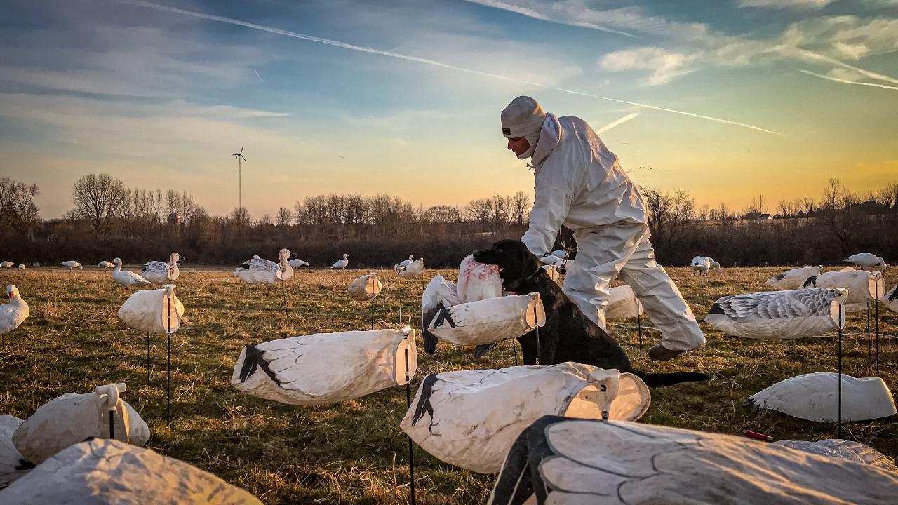 vmatxsloak_2349911449535-1-IMG_03491