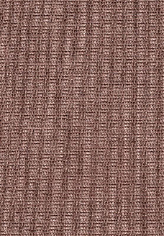 6228_441660419226915_68898564_n