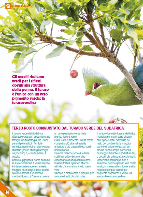 Foc Wil - Apr 2023 (3)