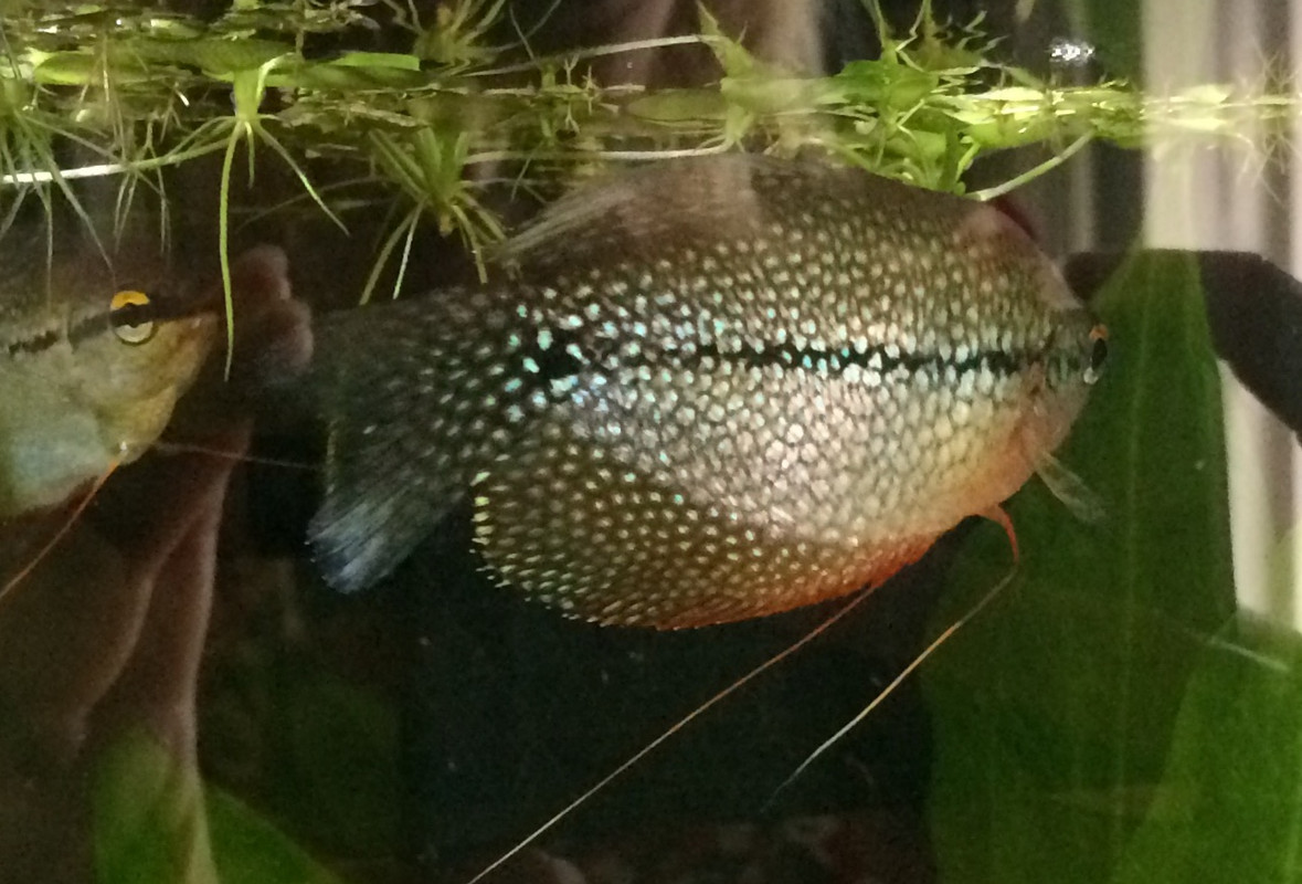 C7ABA3EB-4A54-494C-8202-670EF14C99DA