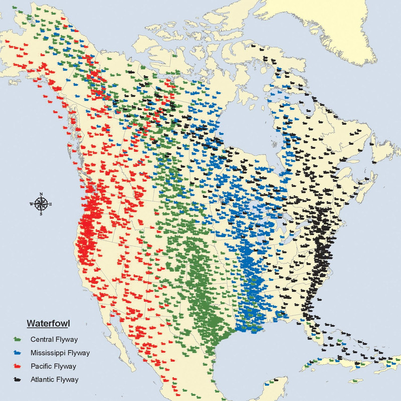 waterfowl_Flyways_bio_map_(North_Dakota_Game_and_Fish_Dept)