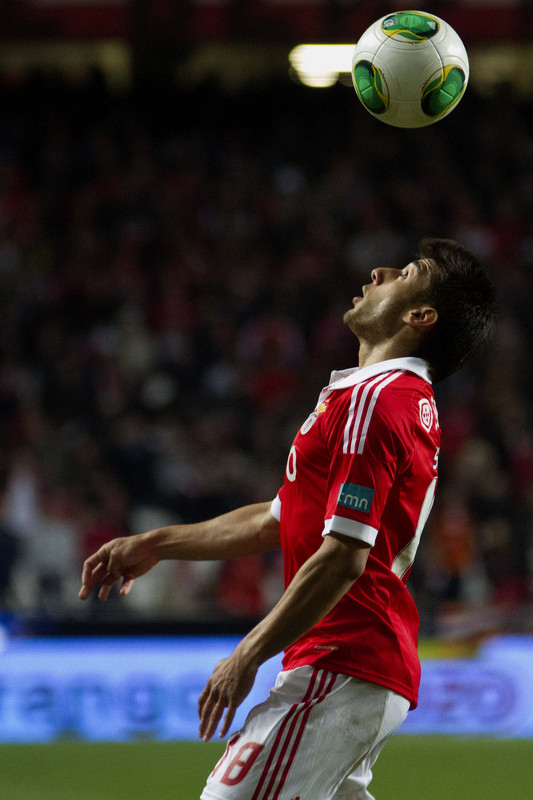 Salvio (1)