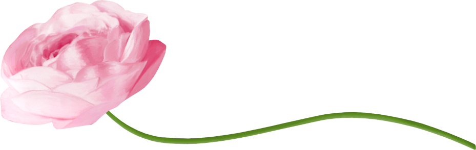 Rose11