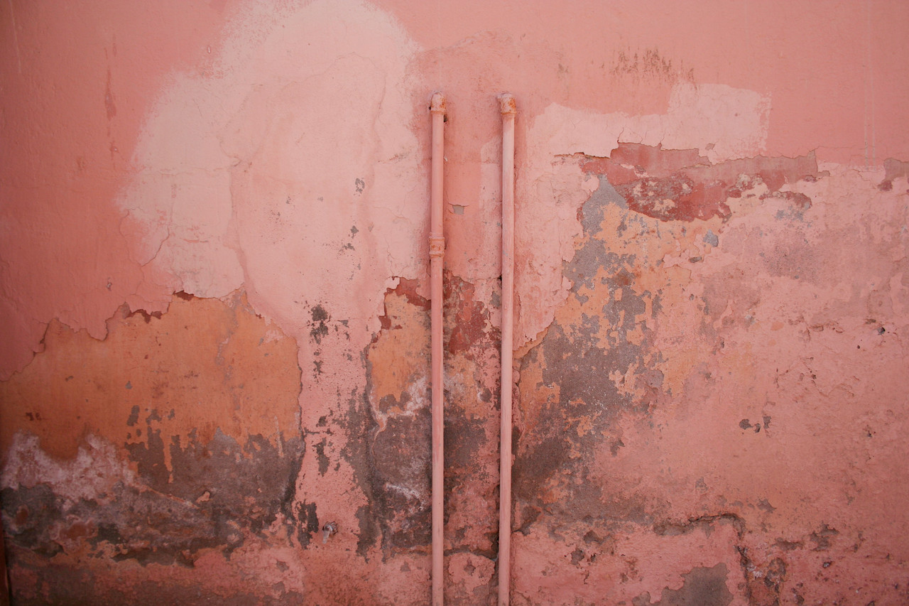 Reviewing insurance documentation for mold remediation coverage