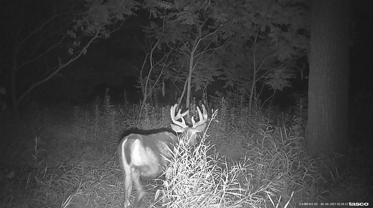 6519B65B-D91E-4296-9660-701E713B92BE