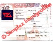 Client Visa Success Story 5