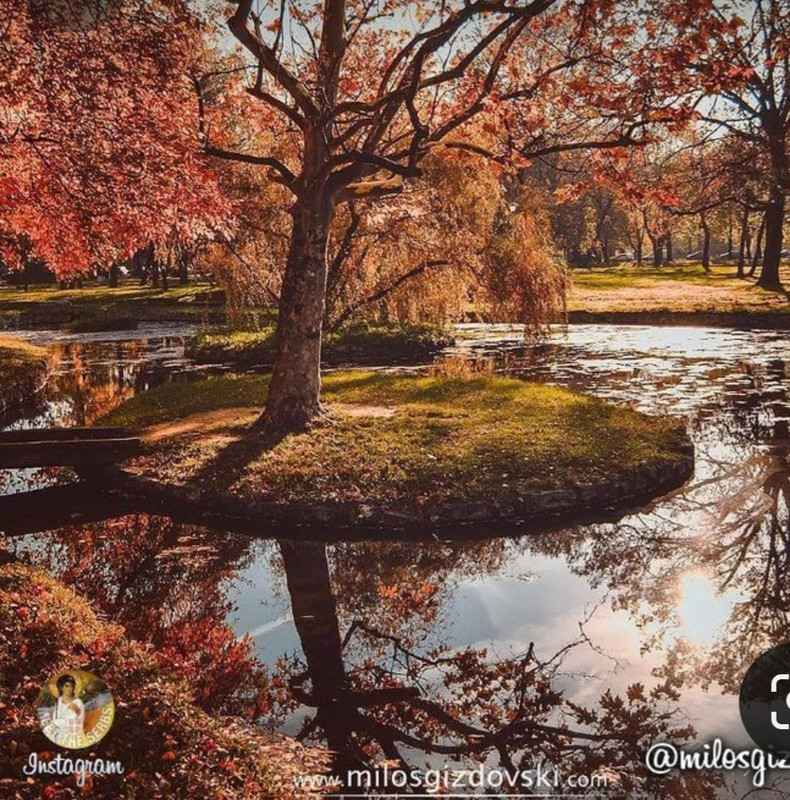 Screenshot_20231119_094846_Pinterest