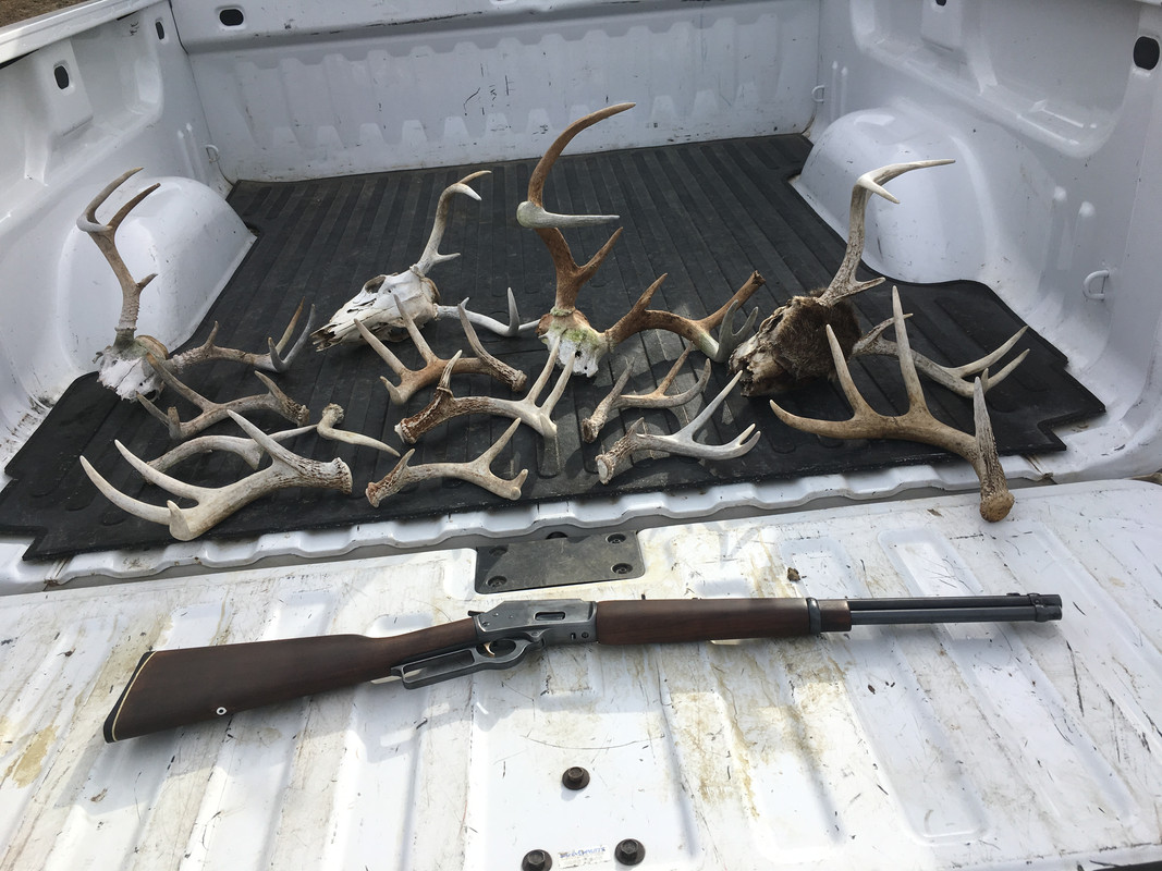 E7295002-B3C7-4D0F-8448-0E7443731DA1