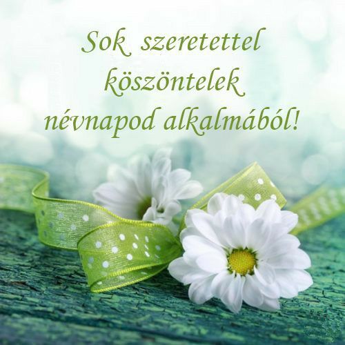 505491397_3972551186337391_5249141082108039572_n