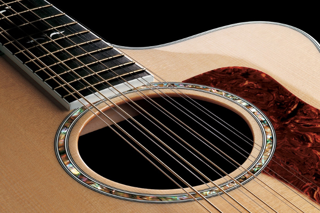 12 String Acoustic Guitar