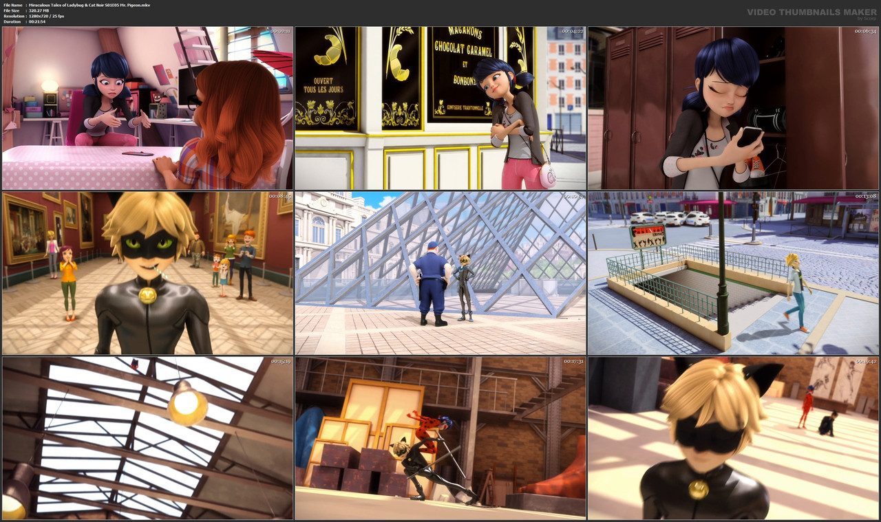 Miraculous Tales of Ladybug & Cat Noir S01E05 Mr. Pigeon.mkv