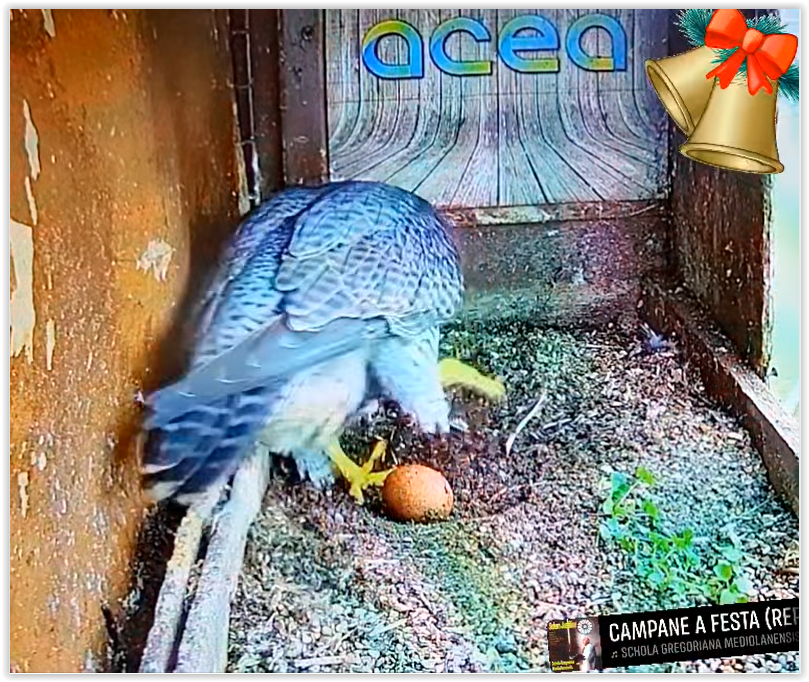 Screen Shot 02-25-25 at 02.27 PM