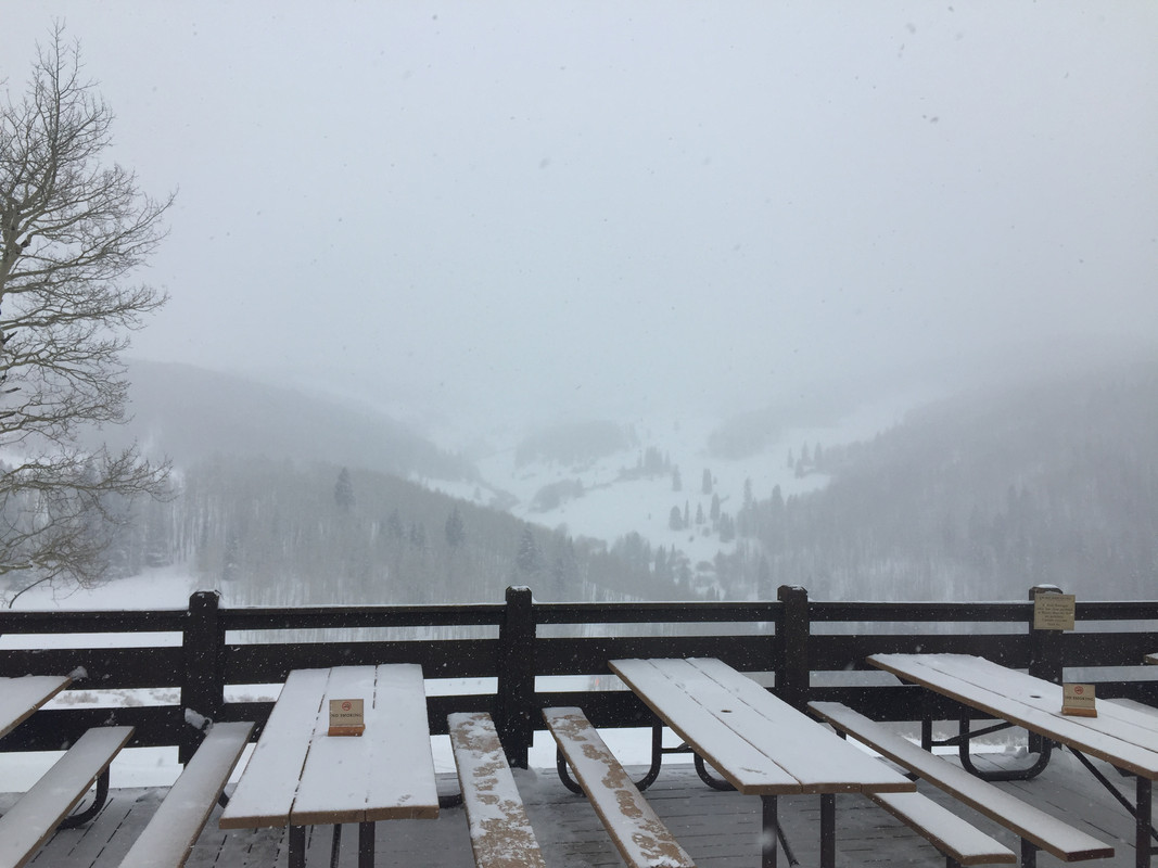 ED785218-6-BD8-471-A-93-E9-048-C5-F7713-