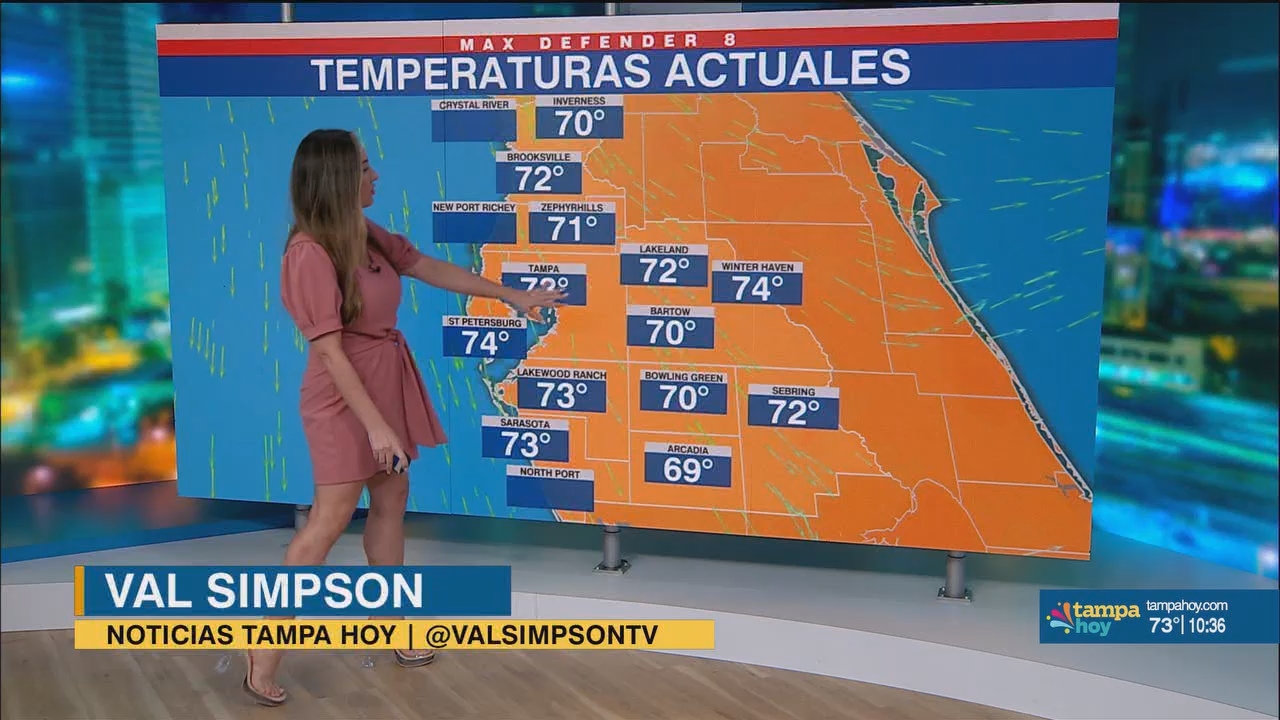 Noticias Tampa Hoy_20241121_03300400.ts_snapshot_06.50.322
