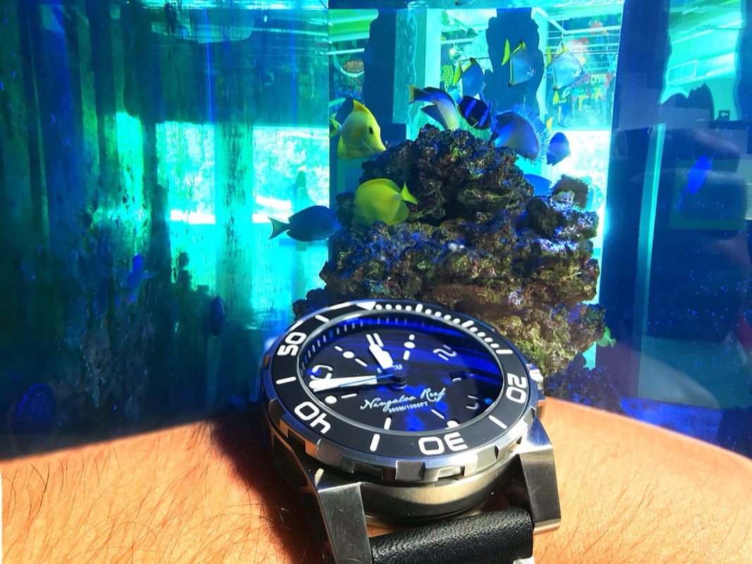 593CEC0D-8684-4CC2-A3F1-E5861A660D76