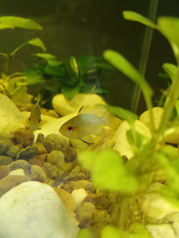 IMG_20240822_150006_402