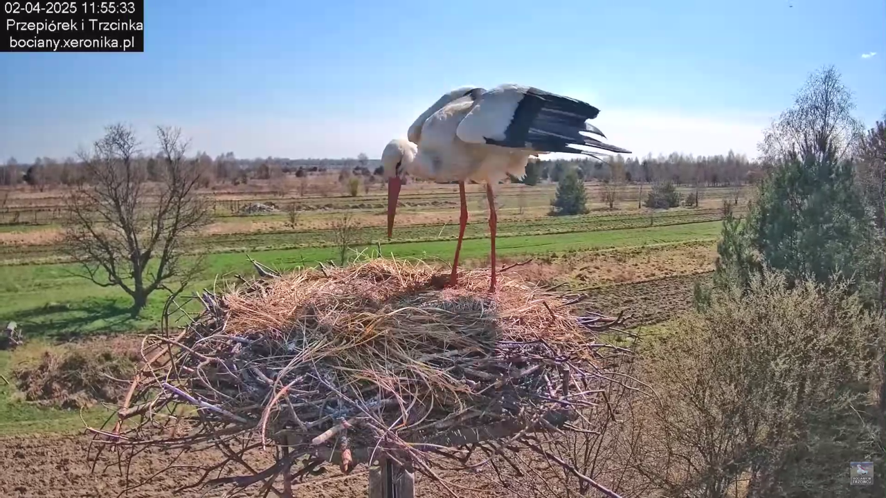 02042025krotkawizytabocka_7