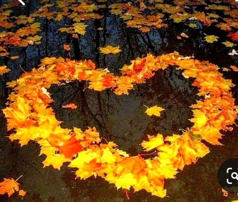 Screenshot_20240210_221203_Pinterest