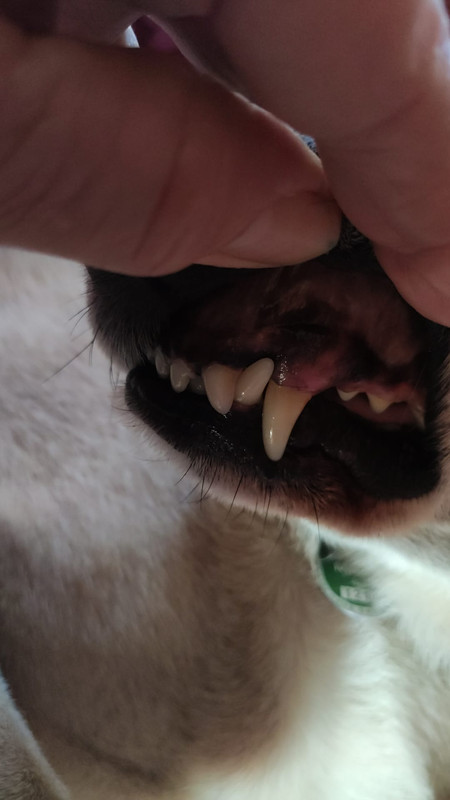 Whats App Image 2026 03 01 at 16 21 40