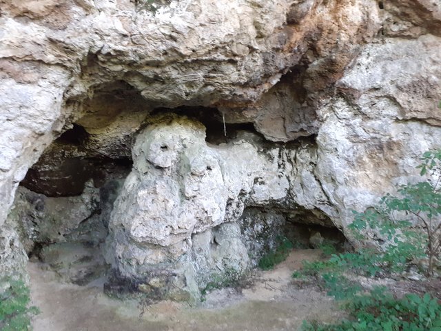 Slika