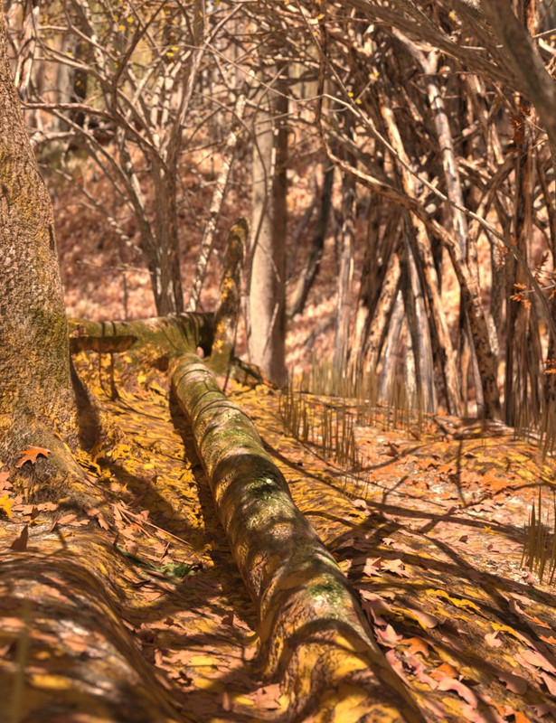 Fall Woods Vignette HD Scene