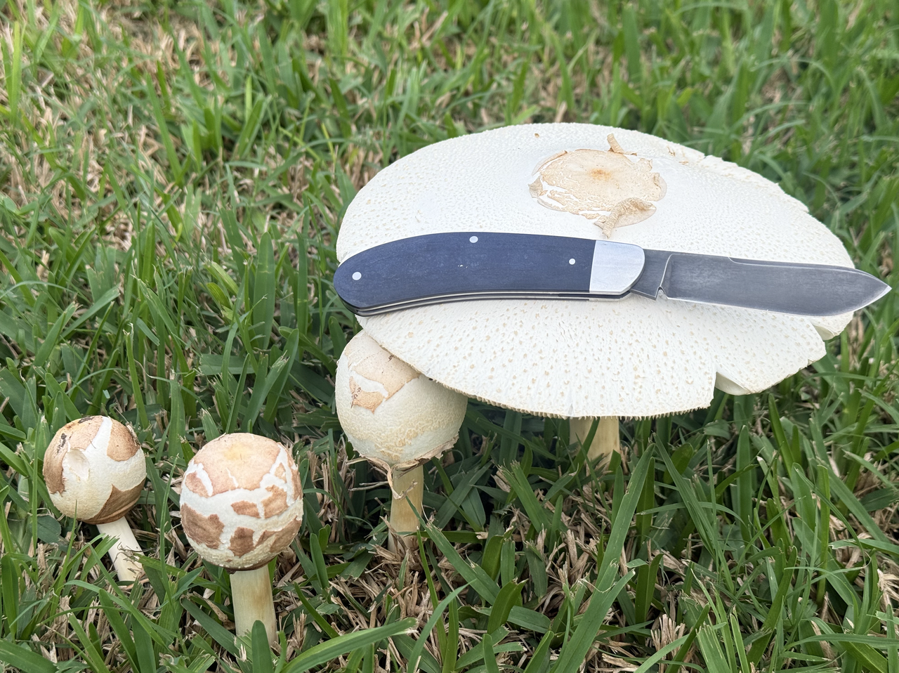 Screen Shot 2026 03 09 at 6 54 27 PM