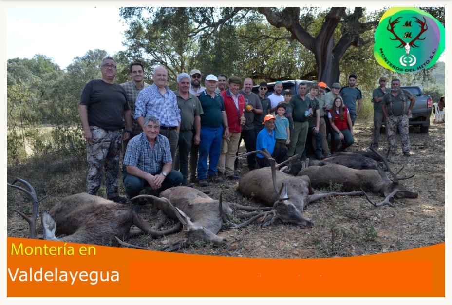 subir imagenes