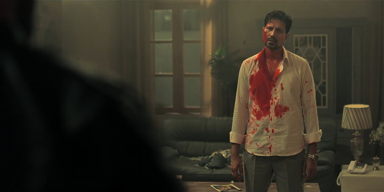 Ziddi Ishq (2025) Season 1 [Hindi + Tamil + Telugu + Malayalam + Kannada] WebRip 480p 720p - Complete Screenshot
