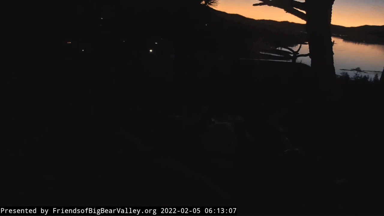 Webp.net-gifmaker (1)