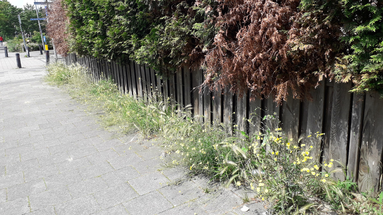 [Image: 20190622-124801.jpg]