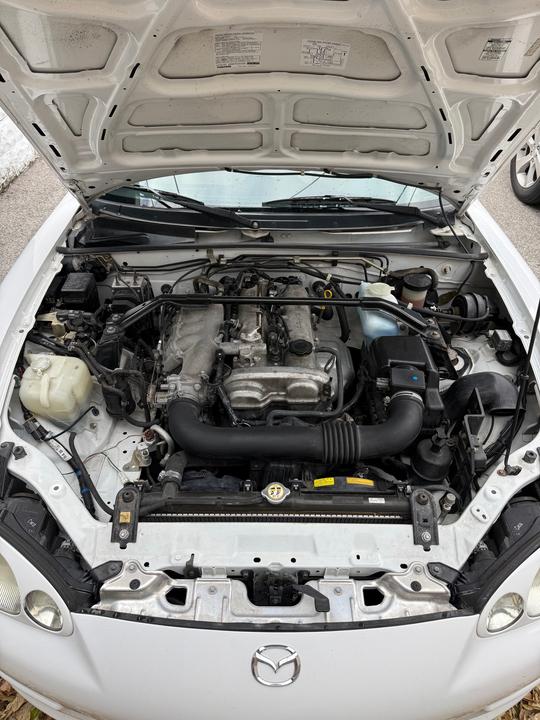 572269113 10162459878383870 2498952590196295780 n