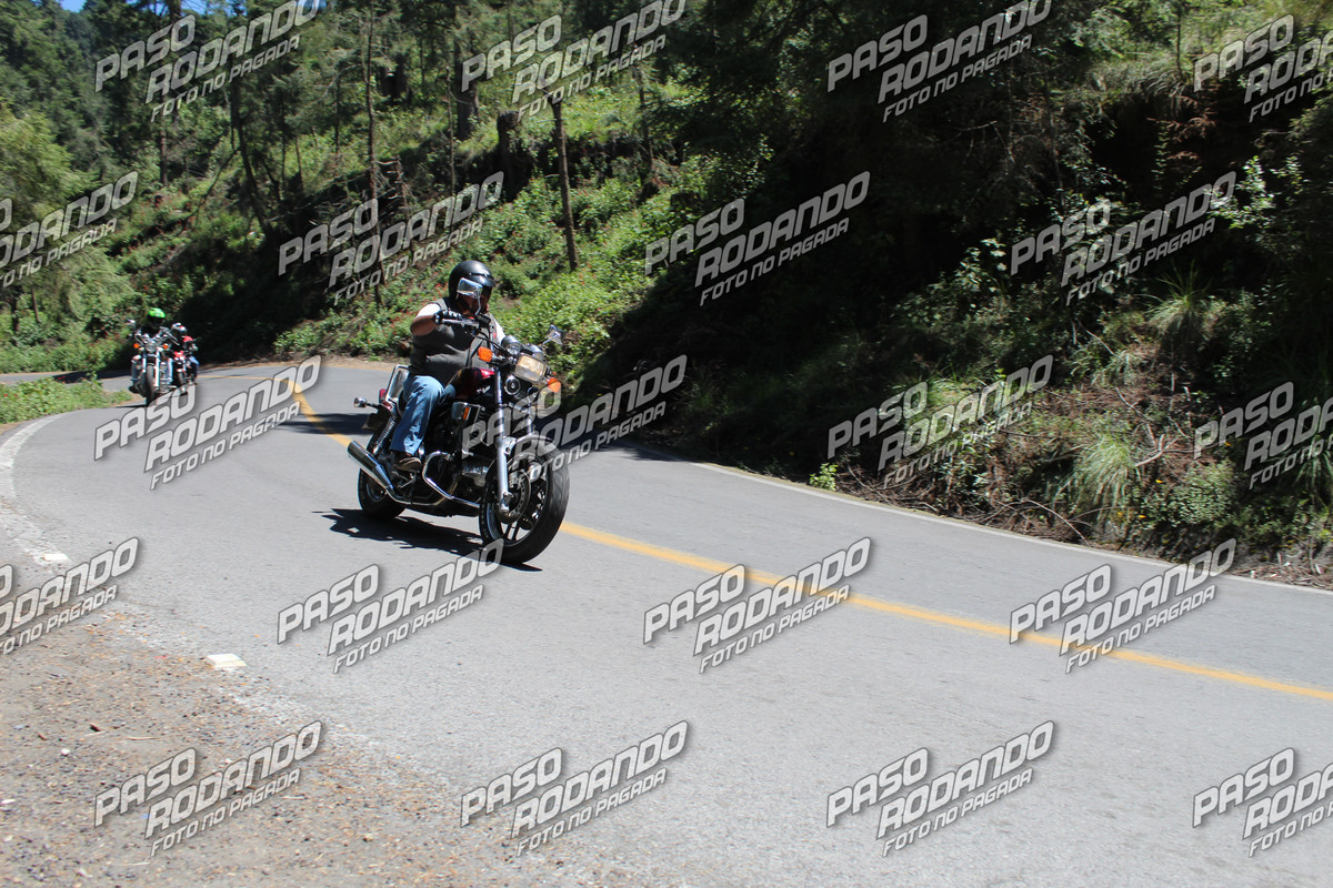 IMG 8085 wm 1895804 6 watermarked — Postimages