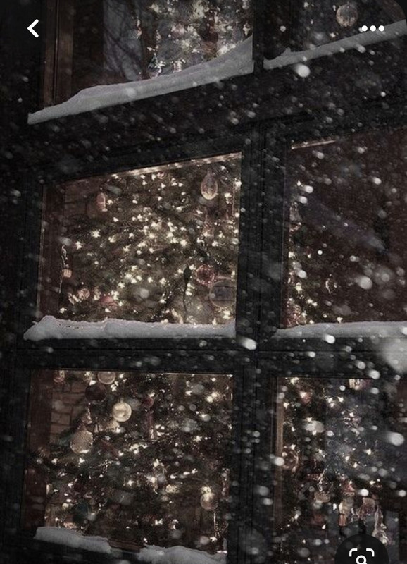 Screenshot_20231222_112142_Pinterest