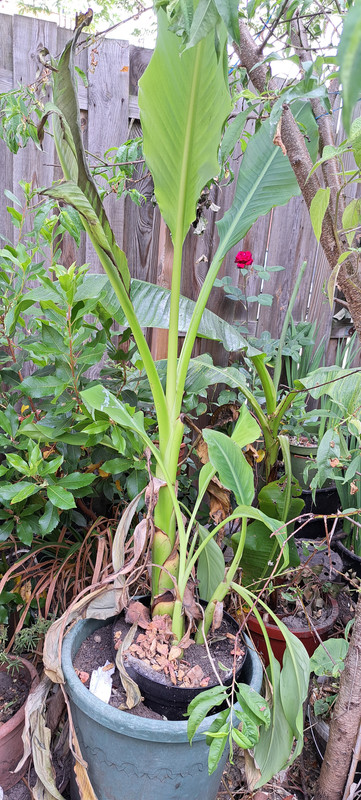 [Image: 20230620-100833.jpg]