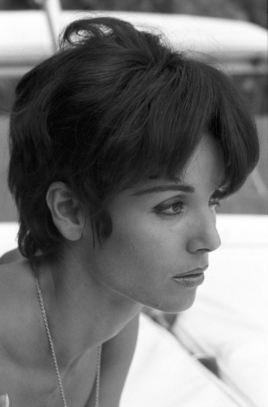 elsa_martinelli_e75